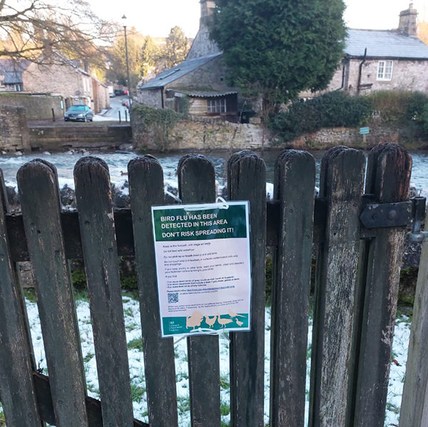 Bird flu alert poster attached to a gate by the riverside in Ashford in the Water