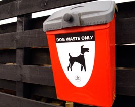 A common dog waste bin